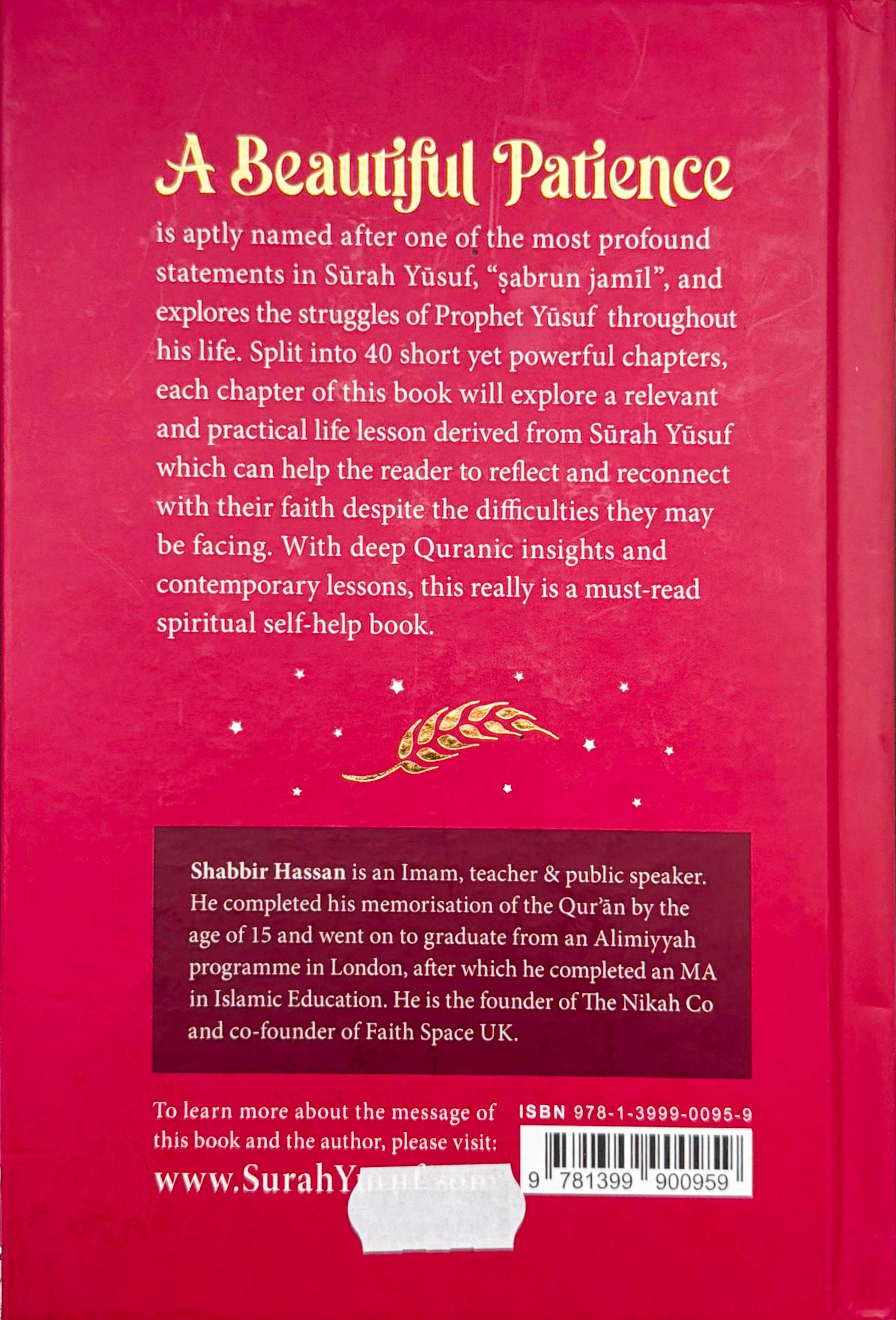 A Beautiful Patience: 40 Life Lessons from Surah Yusuf