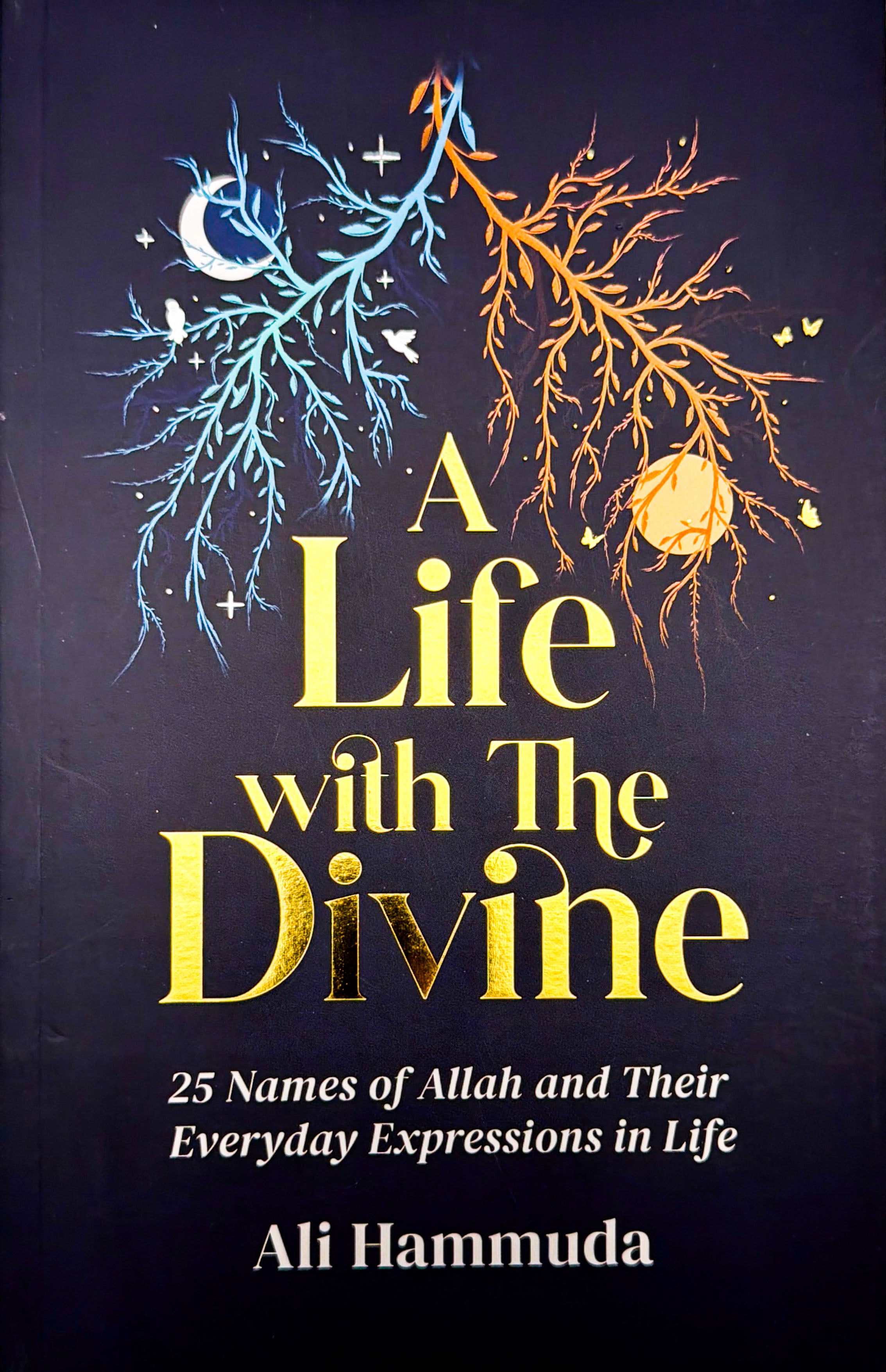 A Life with The Divine: 25 Names of Allah and Their Everyday Expressions in Life