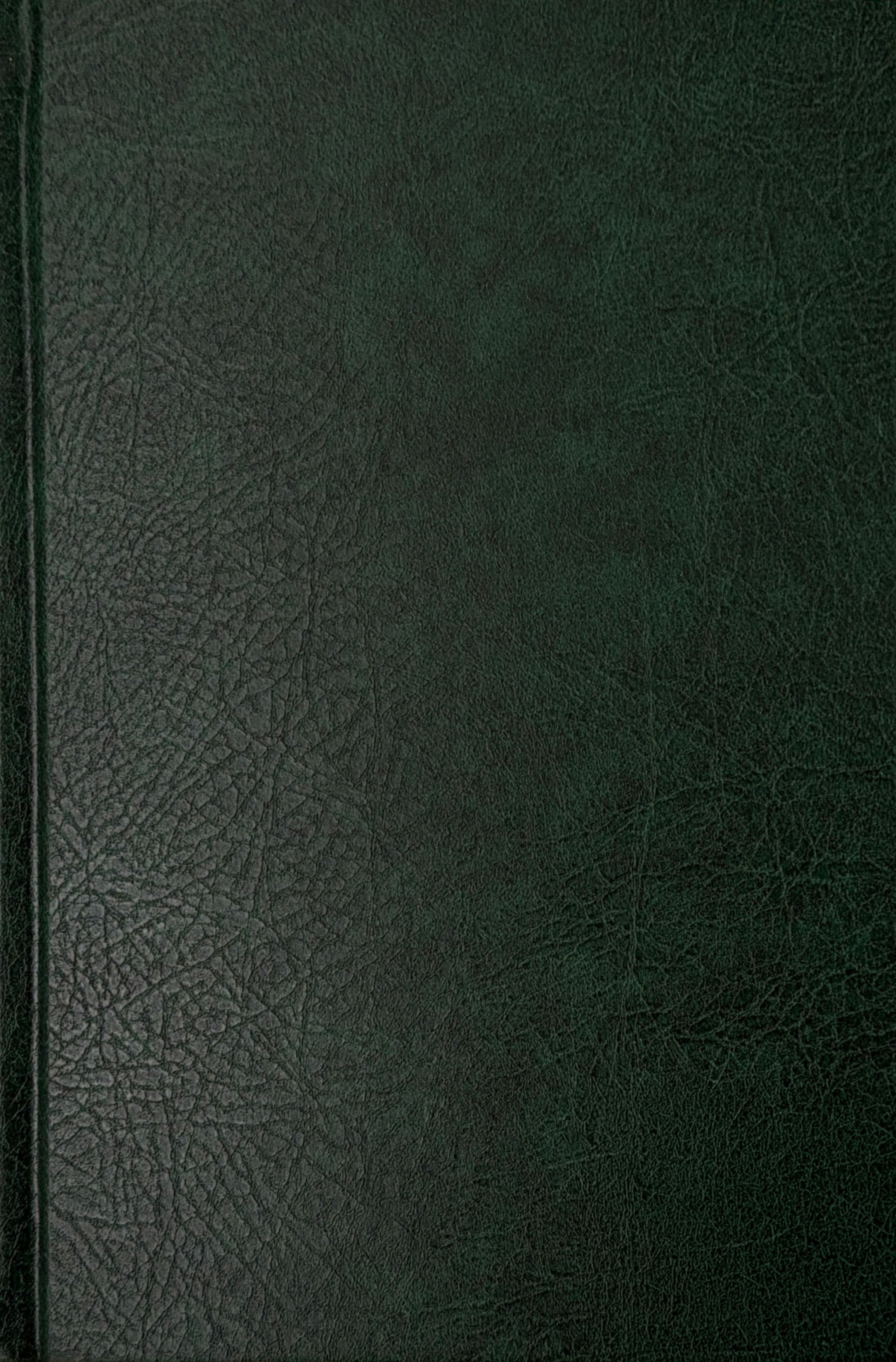 Interpretation of the Meaning of The Noble Qur'an In English Language